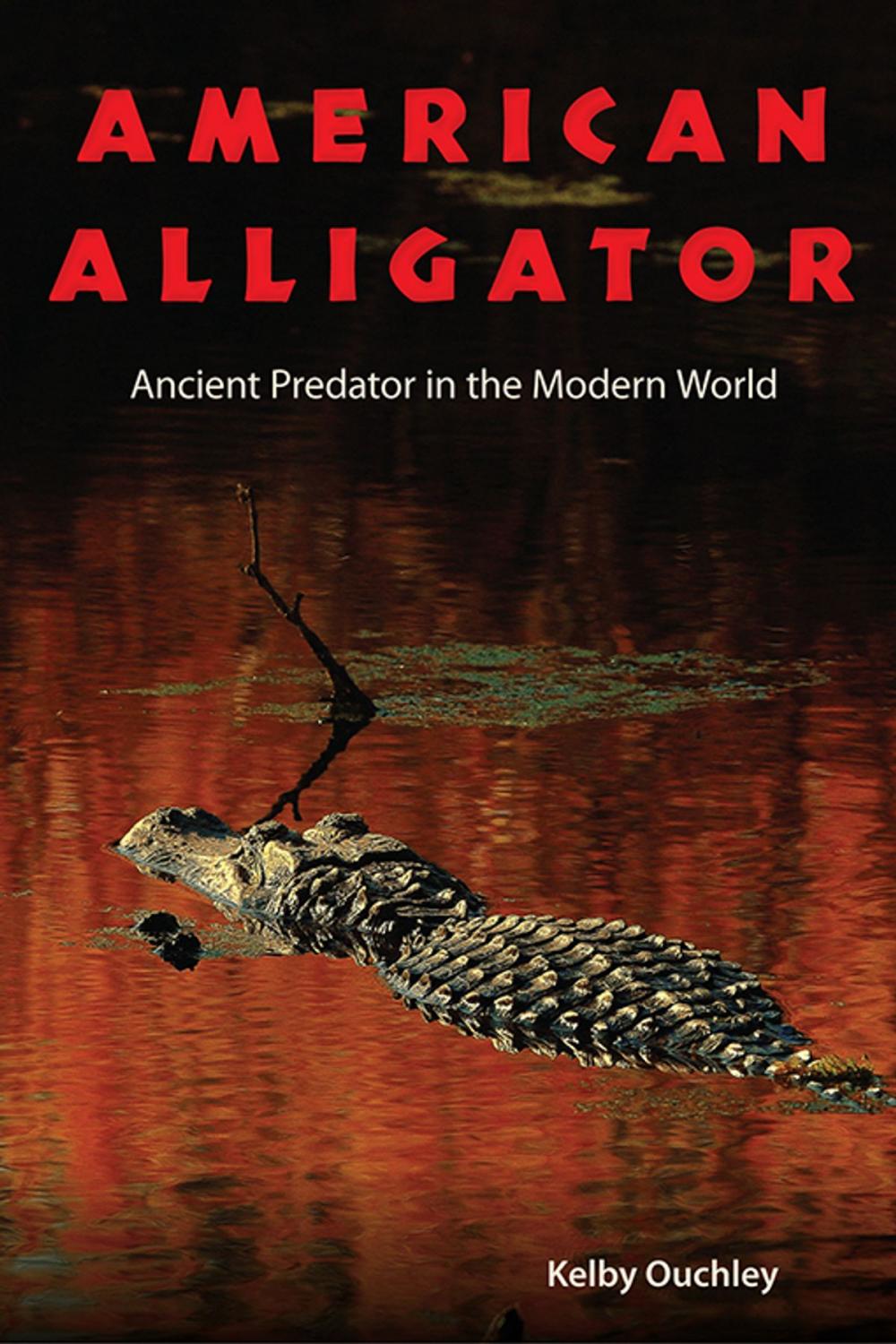 Big bigCover of American Alligator