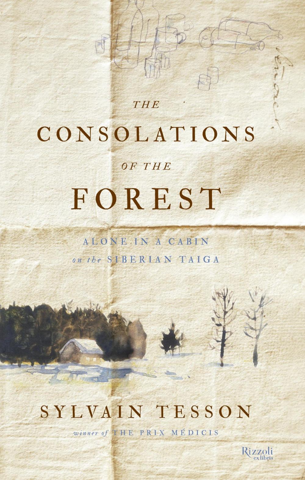 Big bigCover of The Consolations of the Forest