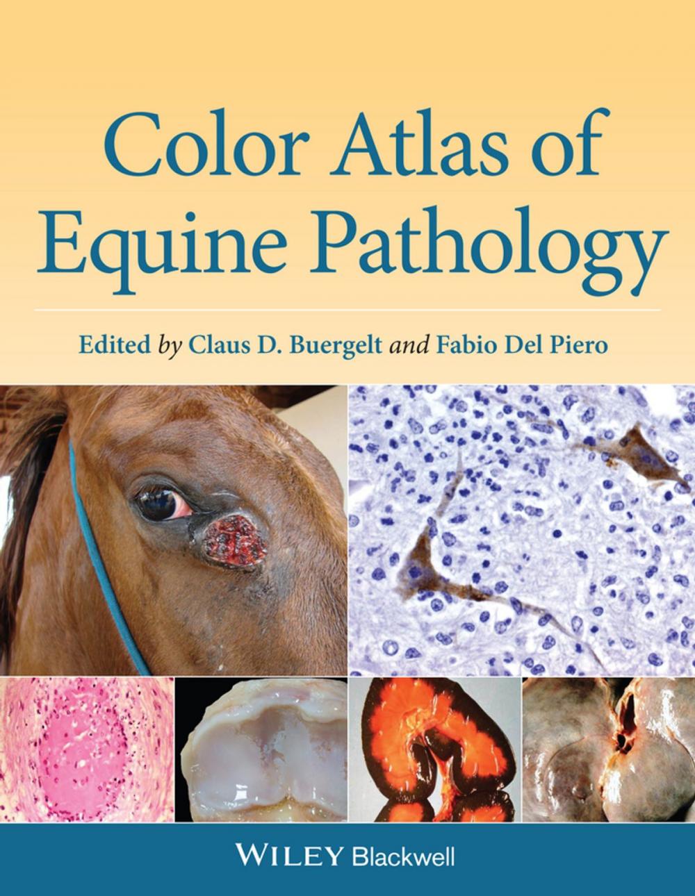 Big bigCover of Color Atlas of Equine Pathology