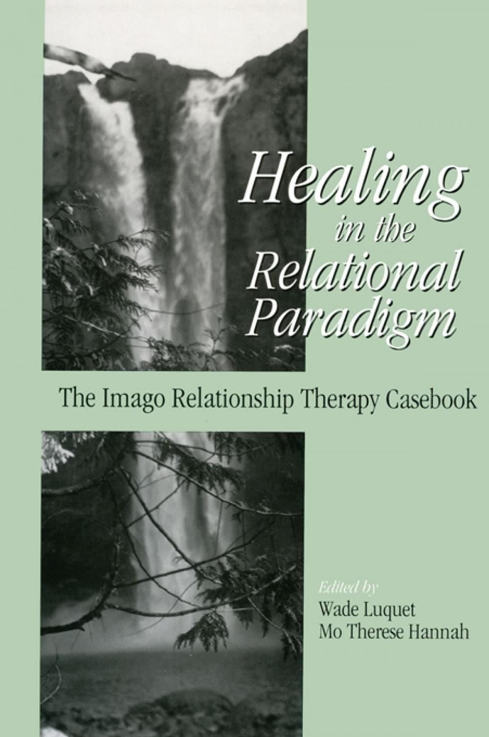 Big bigCover of Healing in the Relational Paradigm