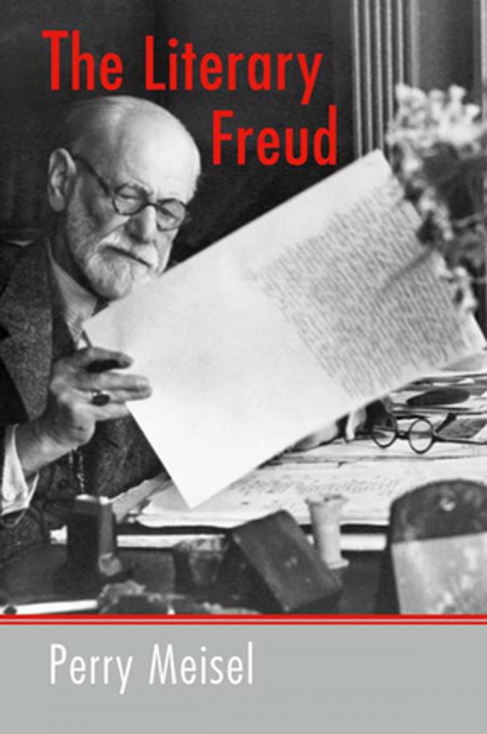 Big bigCover of The Literary Freud