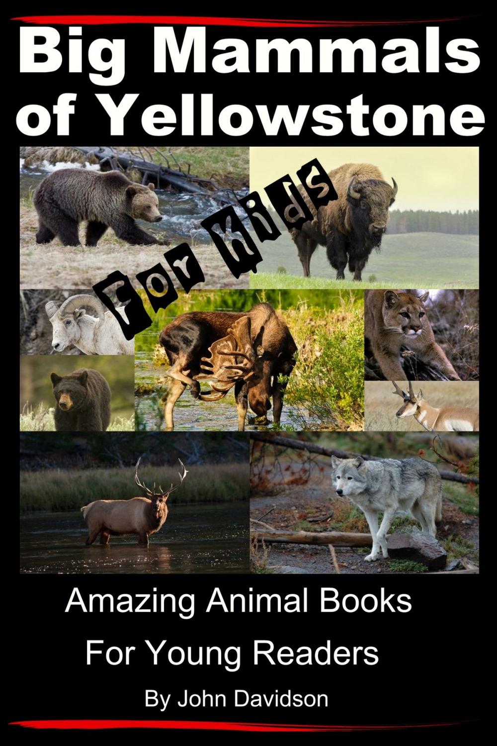 Big bigCover of Big Mammals Of Yellowstone For Kids: Amazing Animal Books for Young Readers