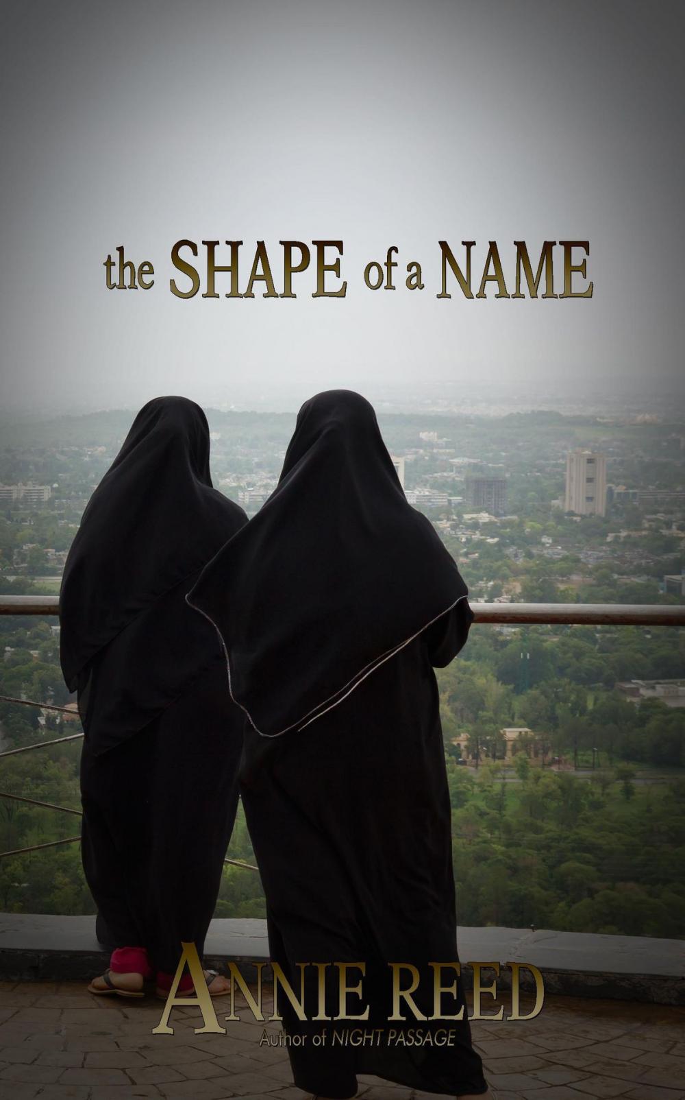 Big bigCover of The Shape of a Name