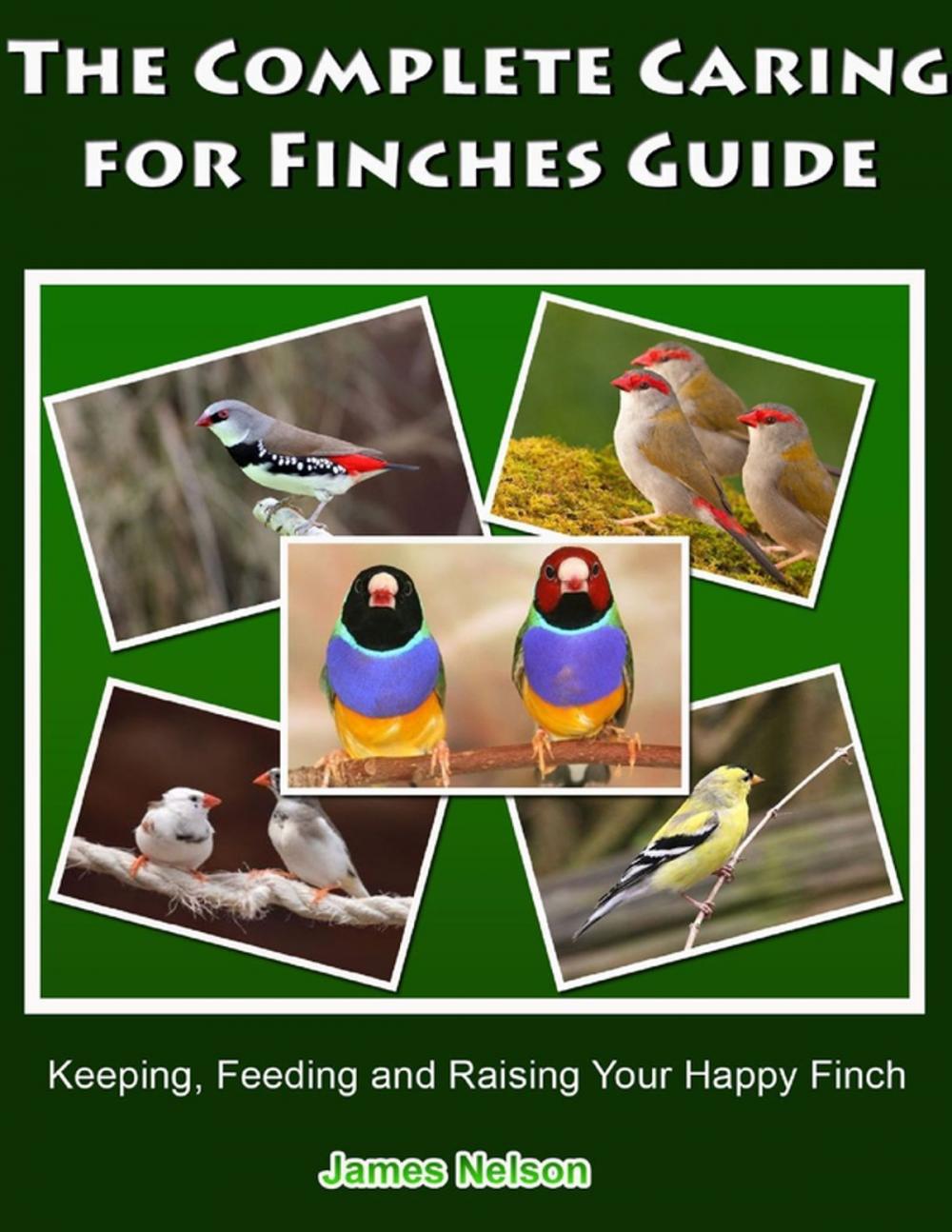 Big bigCover of The Complete Caring for Finches Guide: Keeping, Feeding and Raising Your Happy Finch