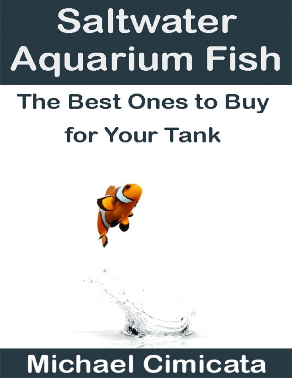 Big bigCover of Saltwater Aquarium Fish: The Best Ones to Buy for Your Tank