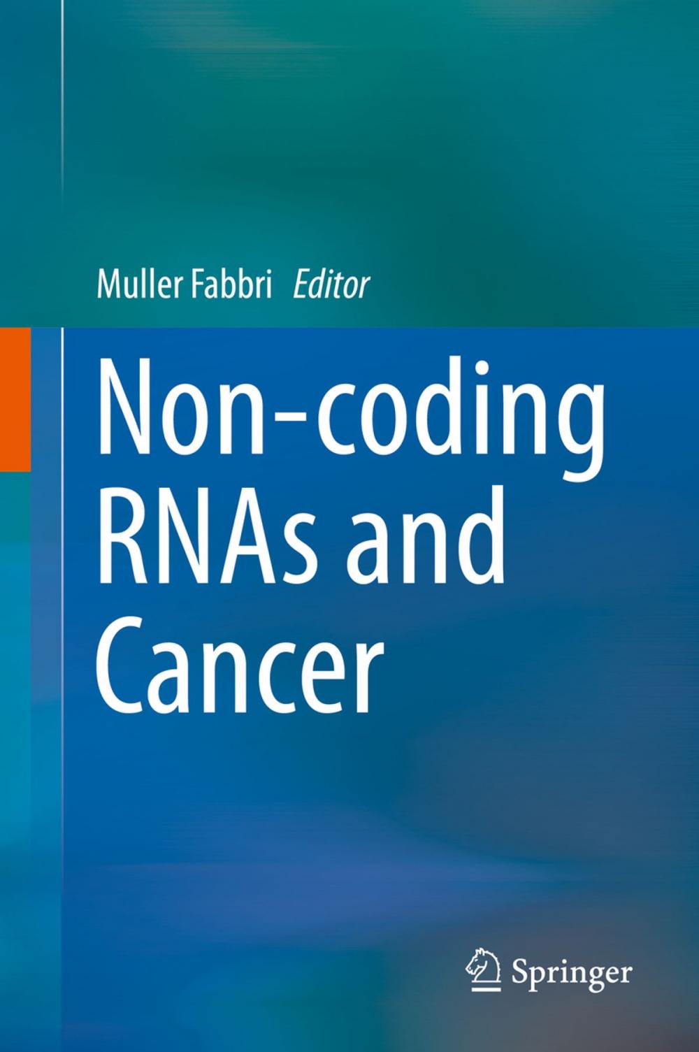 Big bigCover of Non-coding RNAs and Cancer