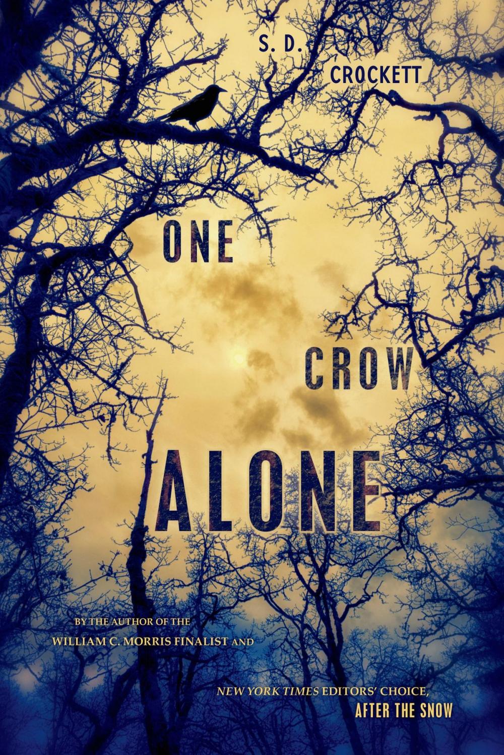 Big bigCover of One Crow Alone