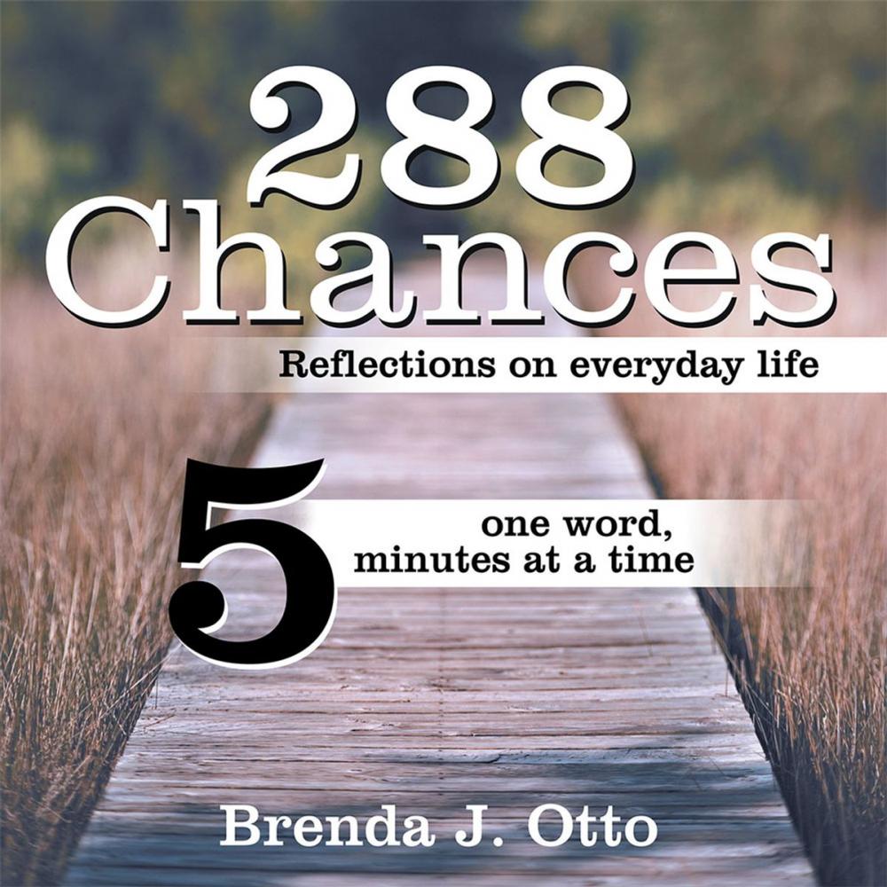 Big bigCover of 288 Chances