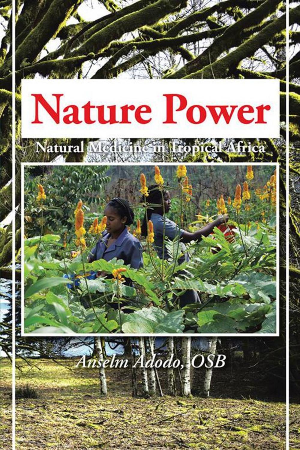 Big bigCover of Nature Power