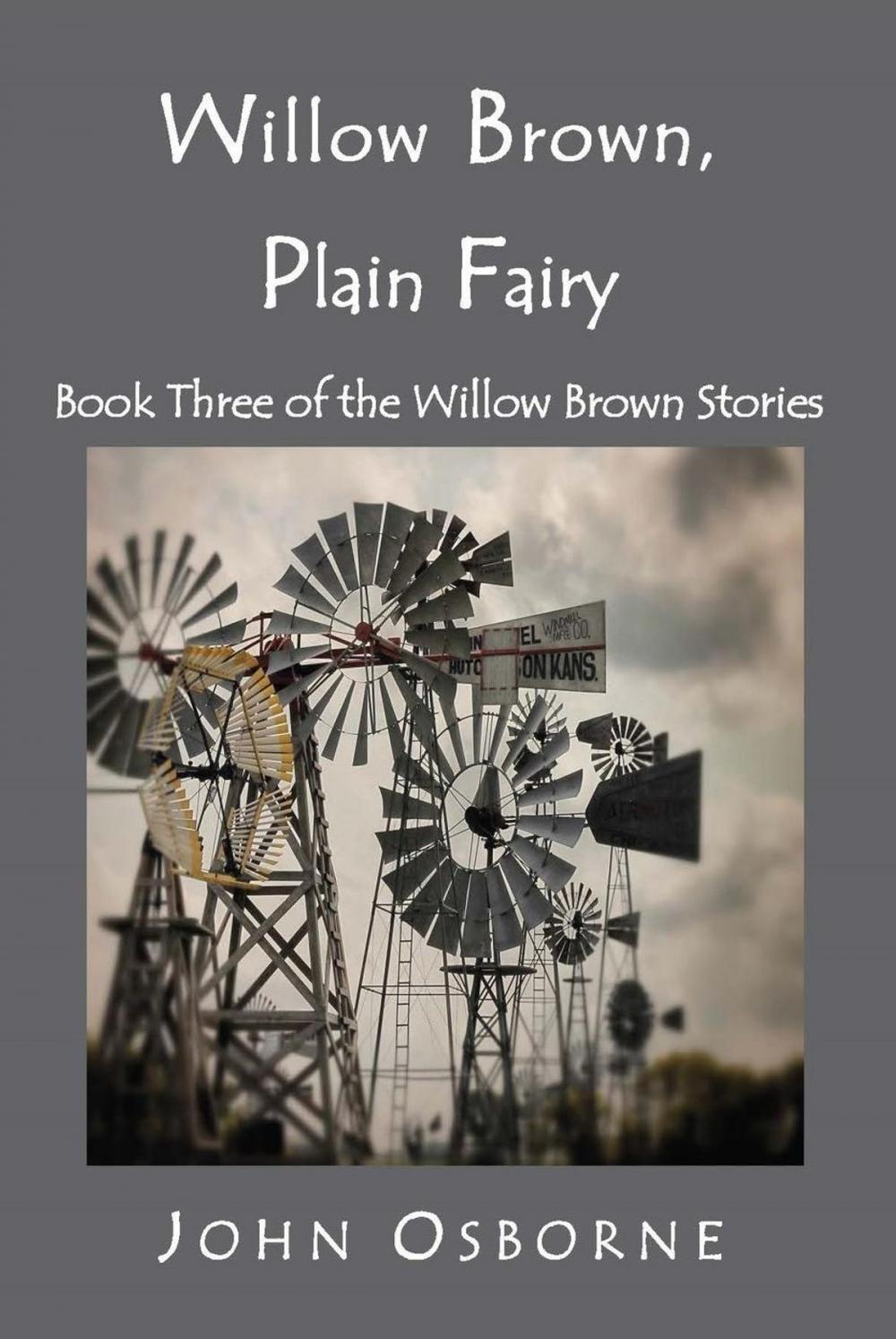 Big bigCover of Willow Brown, Plain Fairy