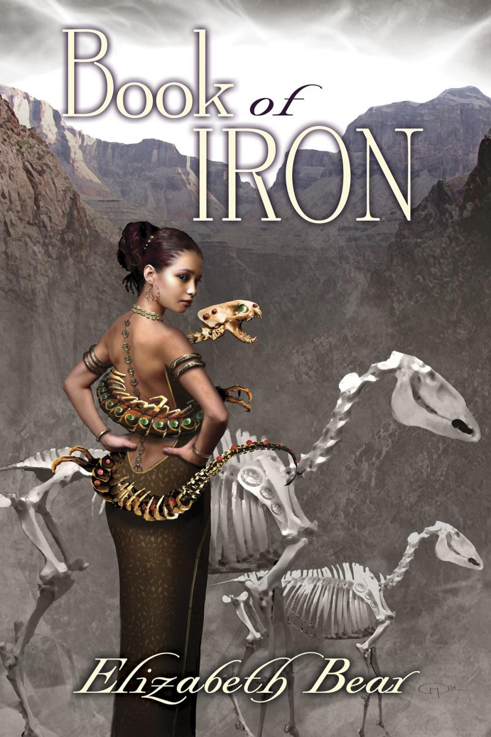 Big bigCover of Book of Iron