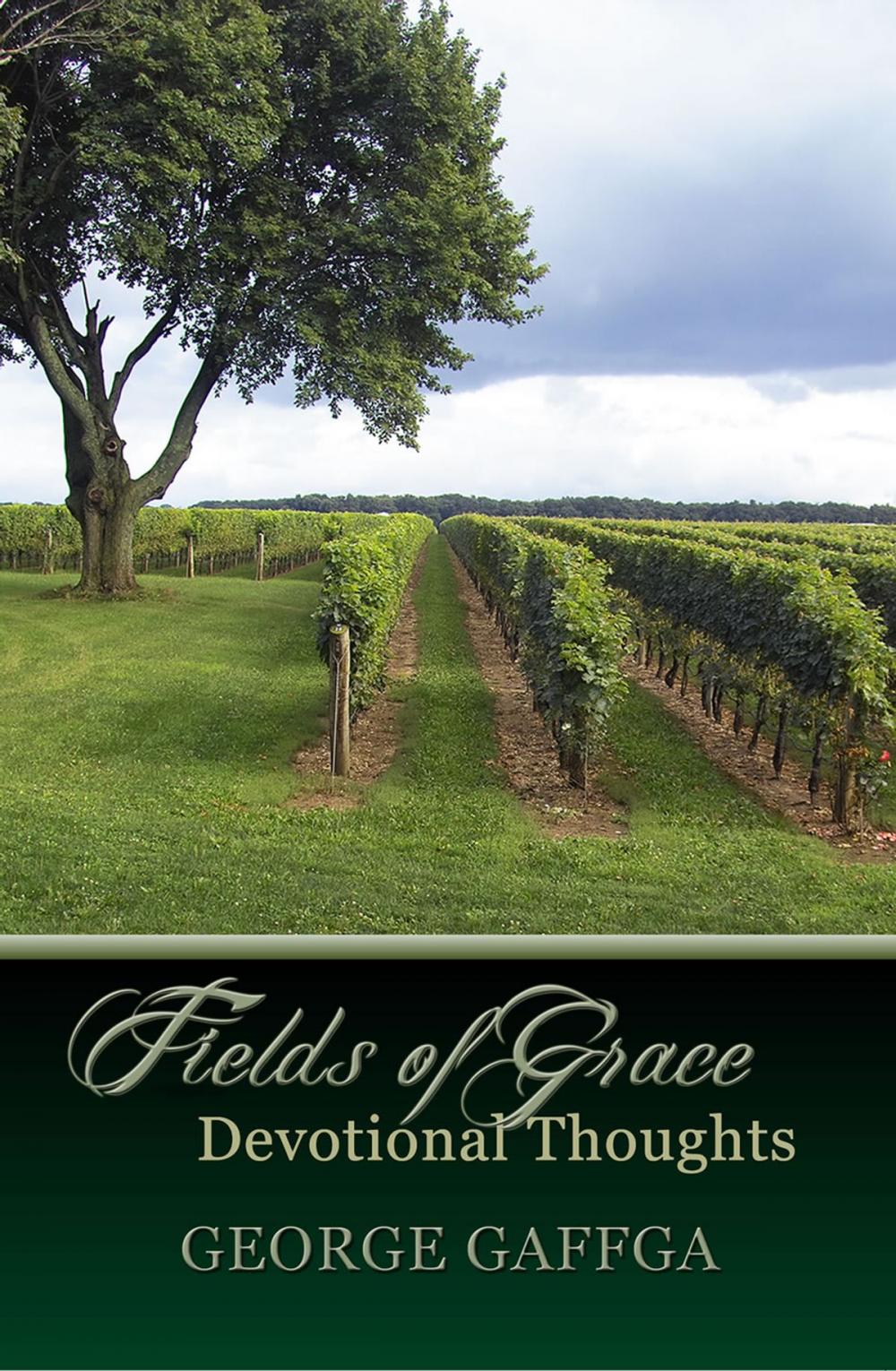 Big bigCover of Fields of Grace ~ Devotional Thoughts