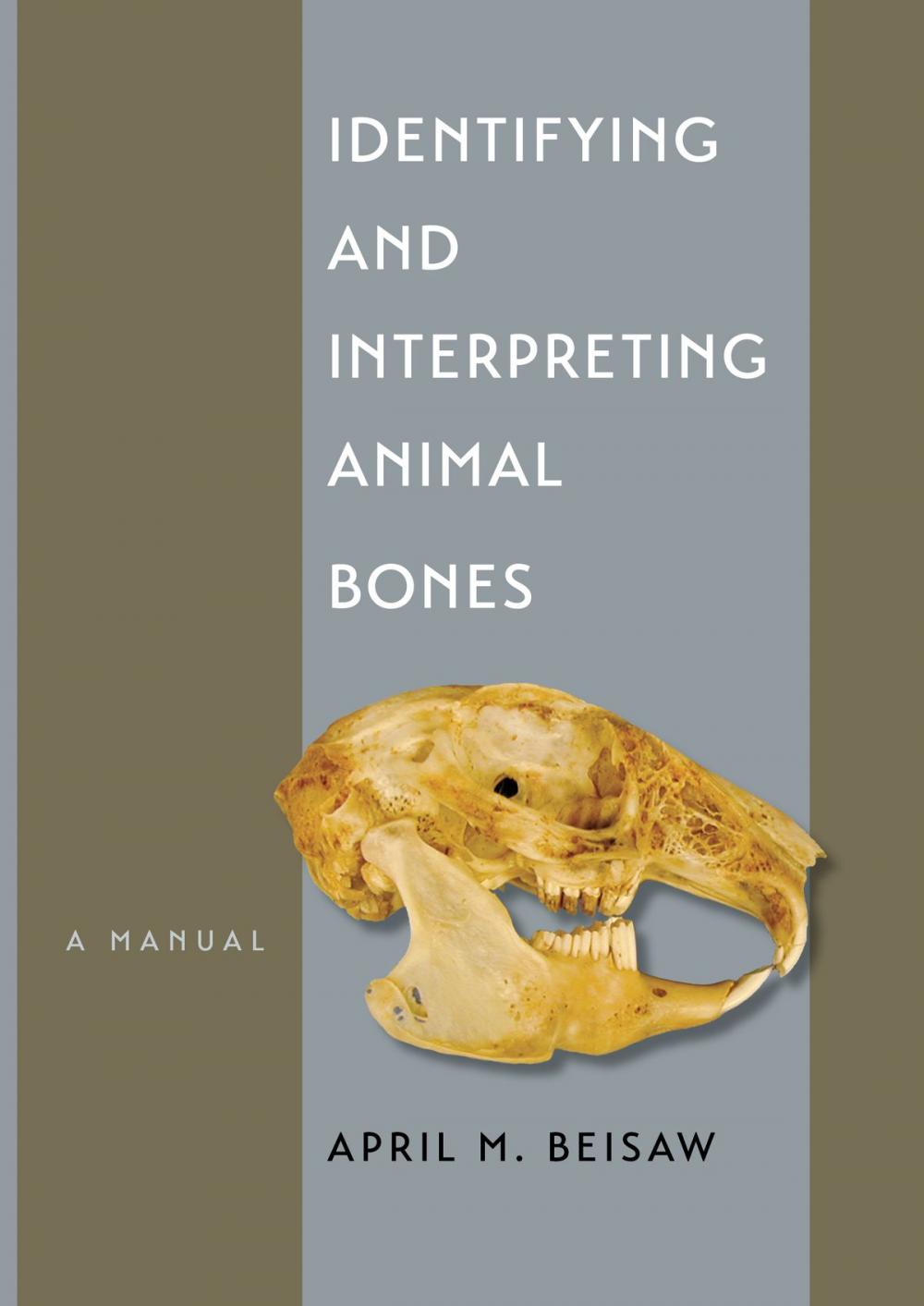 Big bigCover of Identifying and Interpreting Animal Bones
