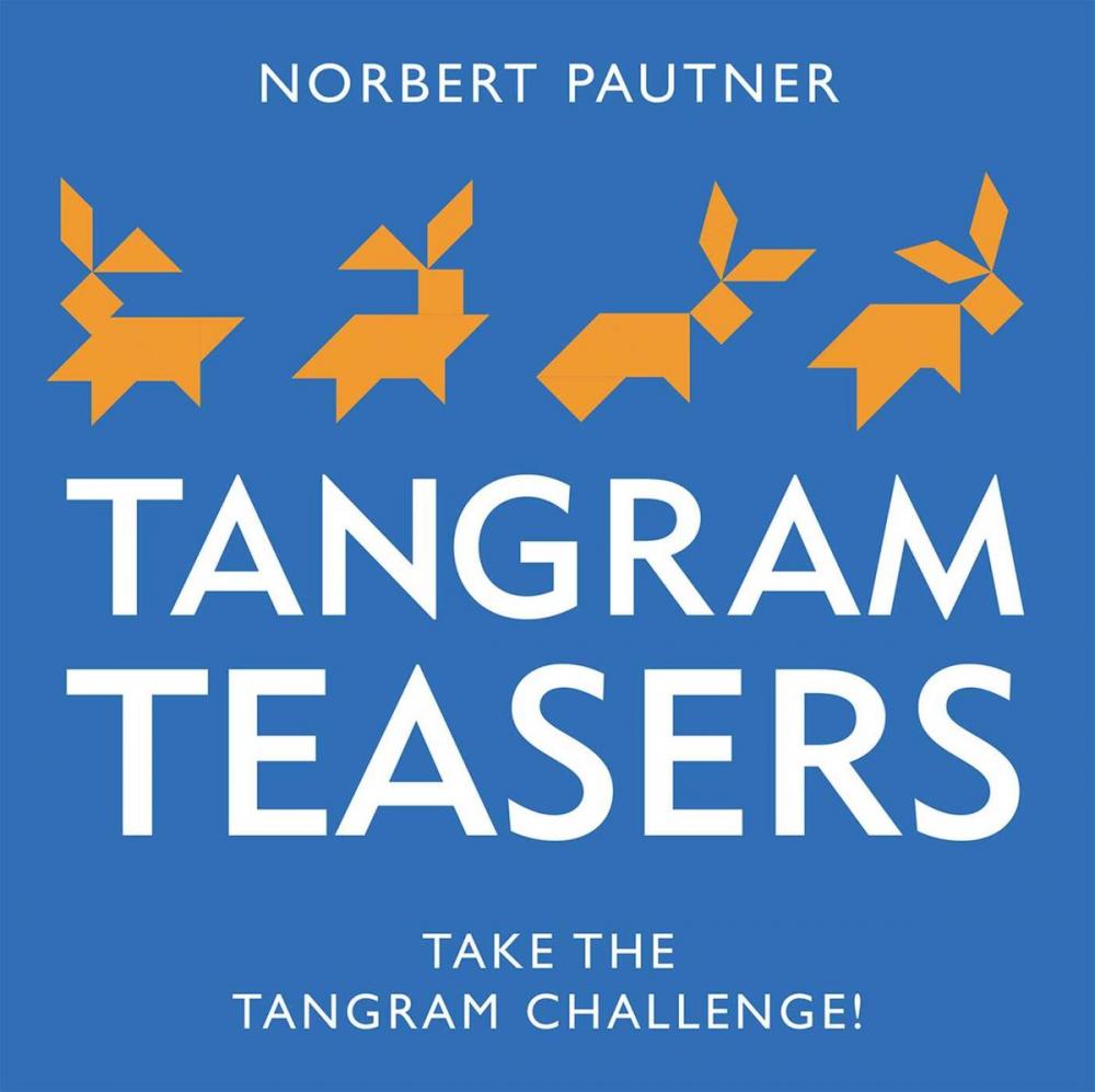 Big bigCover of Tangram Teasers Book