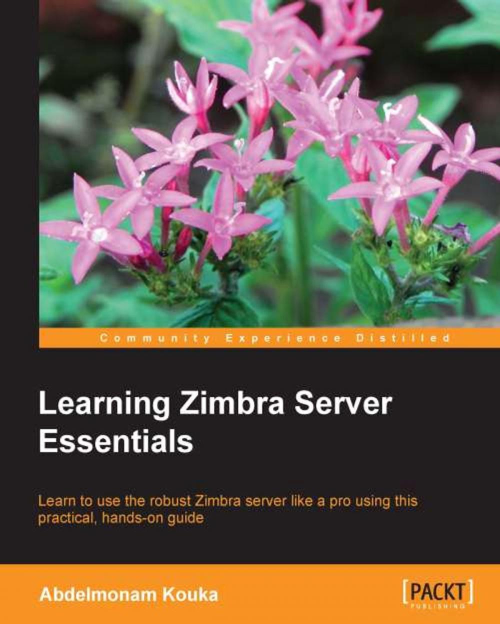Big bigCover of Learning Zimbra Server Essentials