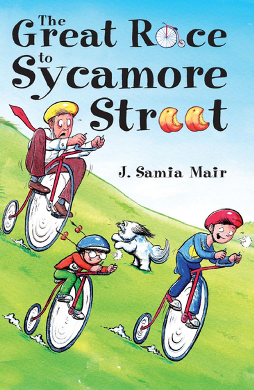 Big bigCover of The Great Race to Sycamore Street