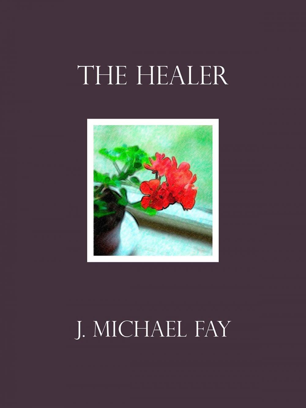 Big bigCover of The Healer