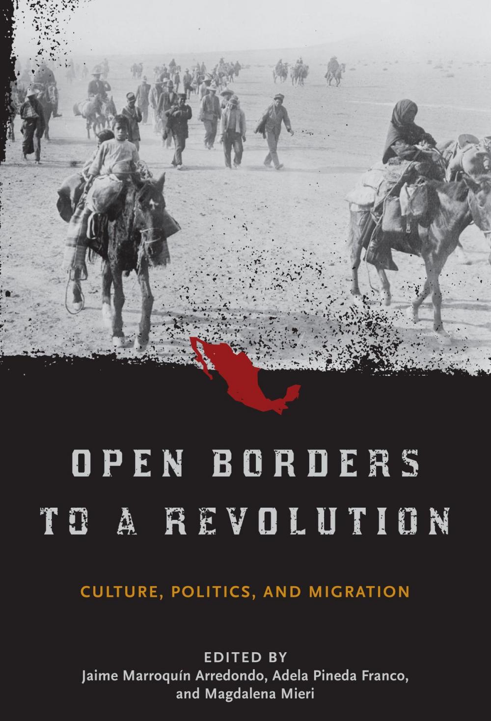 Big bigCover of Open Borders to a Revolution