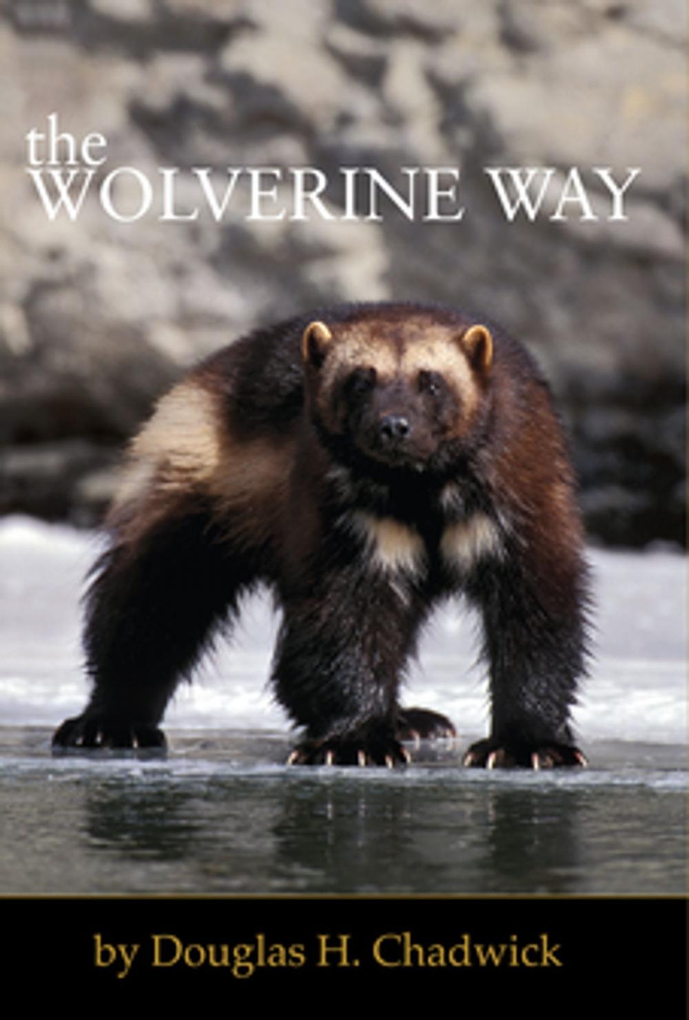 Big bigCover of The Wolverine Way