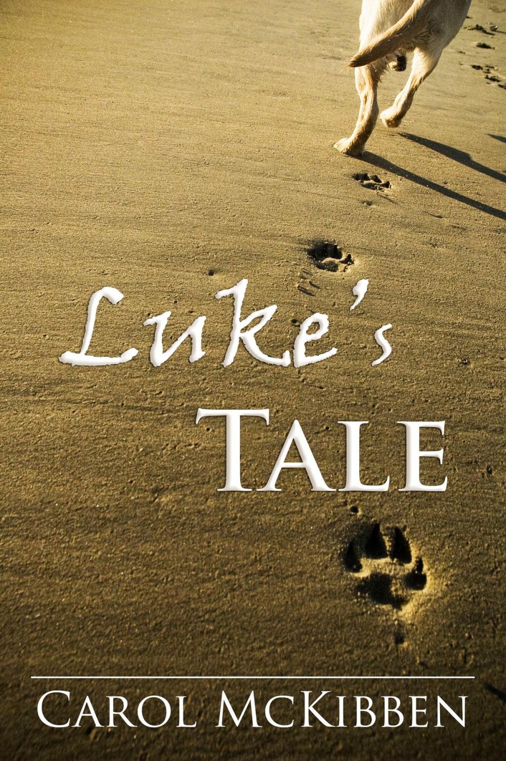 Big bigCover of Luke's Tale