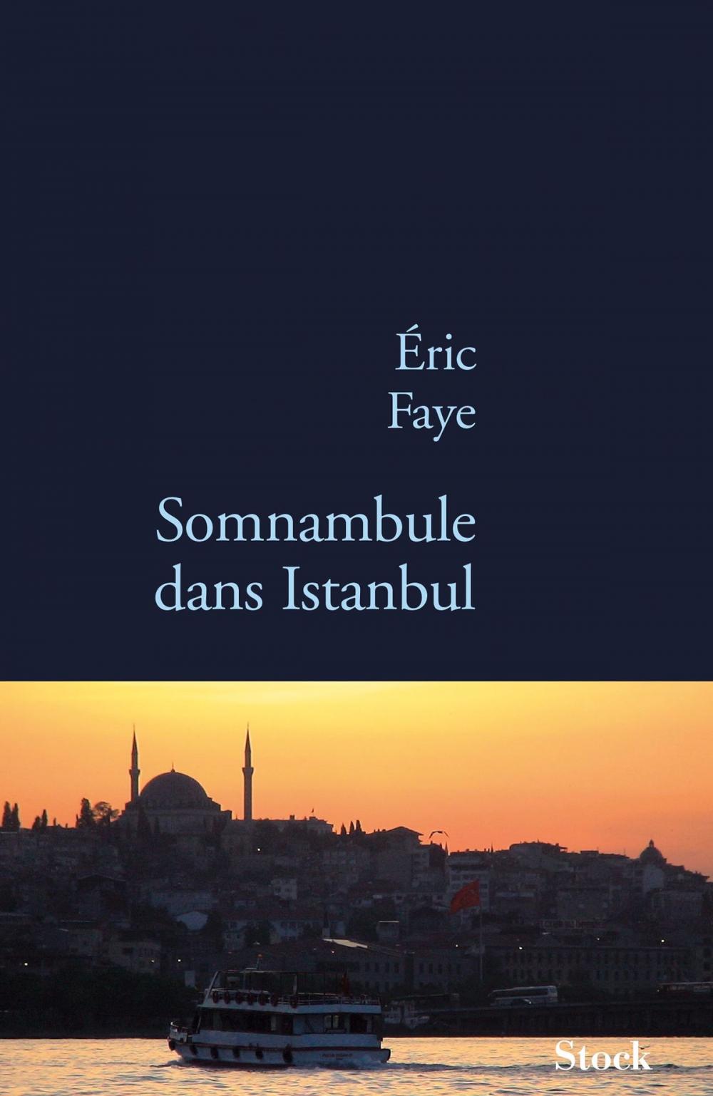 Big bigCover of Somnambule dans Istanbul