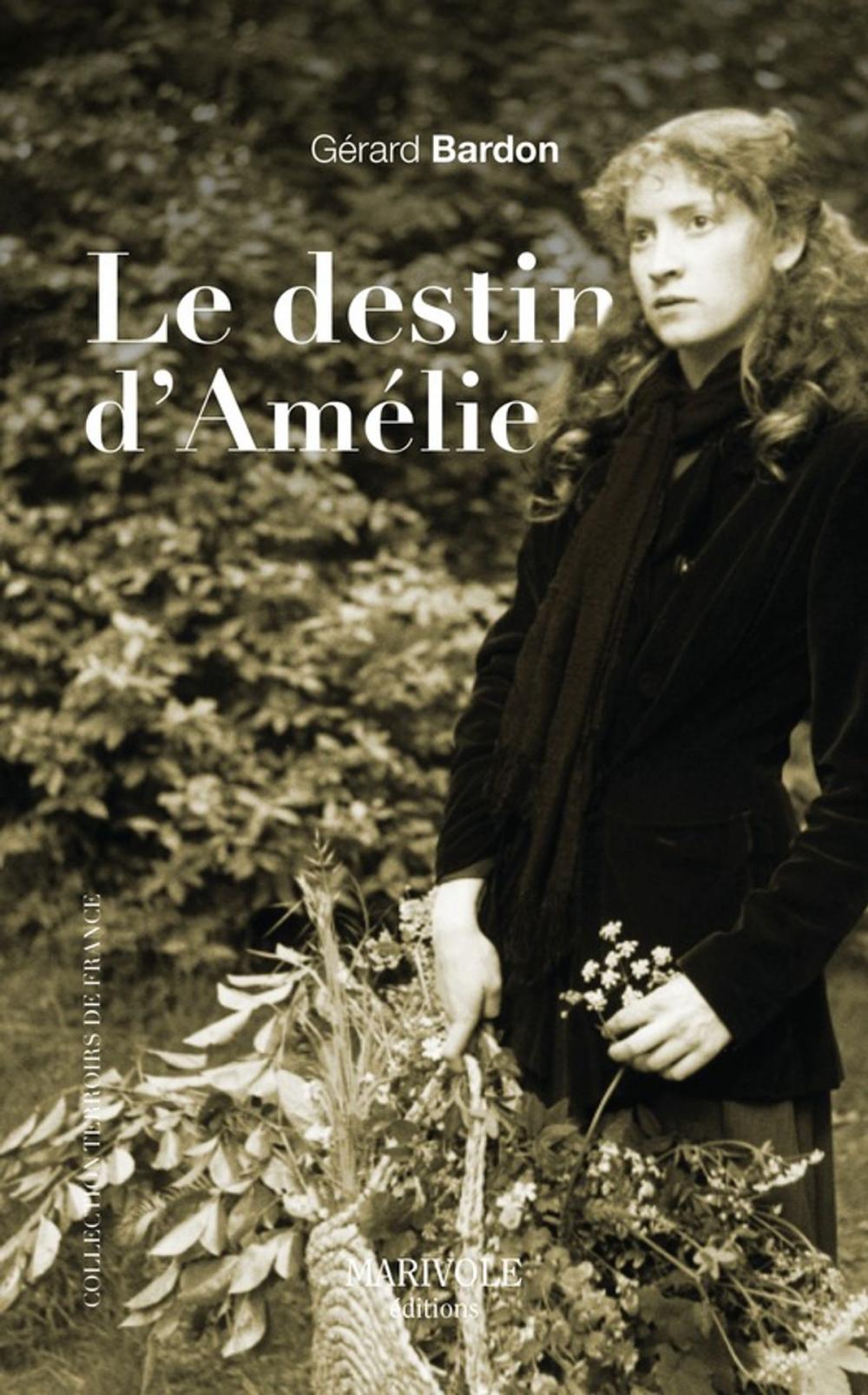 Big bigCover of Le Destin d'Amélie
