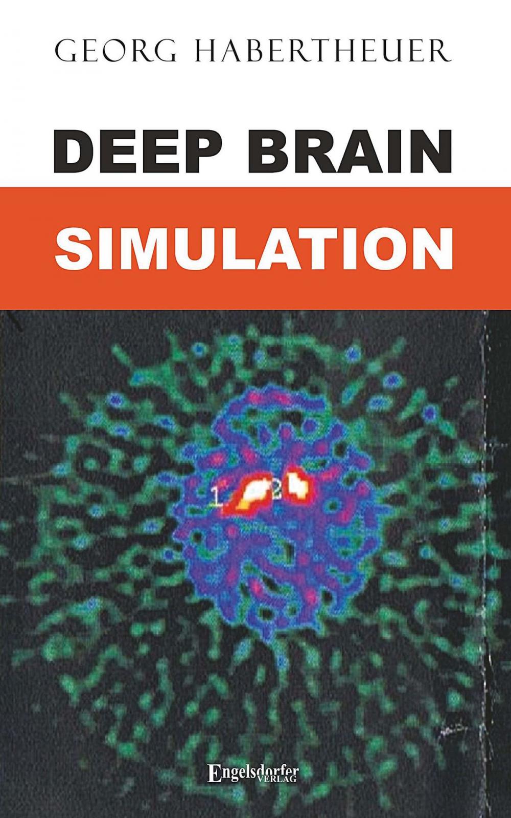 Big bigCover of Deep Brain Simulation