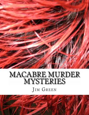 Cover of the book Macabre Murder Mysteries by Jennifer L. Rowlands