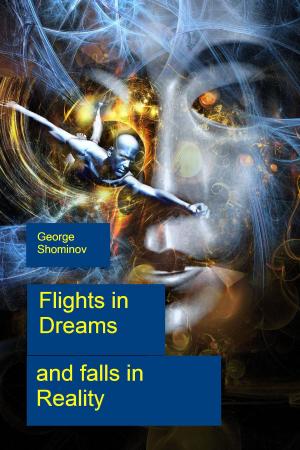 Cover of the book Flights in Dreams and falls in Reality by K. B. Miller