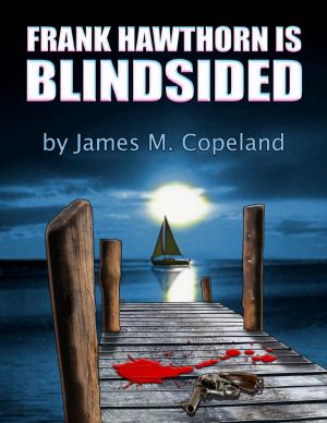 Cover of the book Blindsided by William N Evans