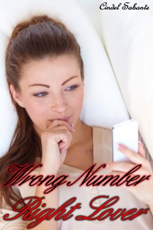 Cover of the book Wrong Number, Right Lover by Cindel Sabante