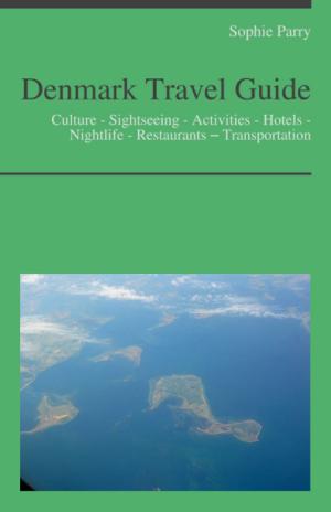 Book cover of Denmark Travel Guide: Culture - Sightseeing - Activities - Hotels - Nightlife - Restaurants – Transportation (including Copenhagen)