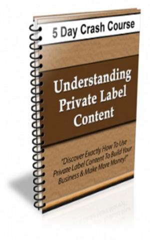 Cover of the book How To Understanding Private Label Content by Mark Leslie