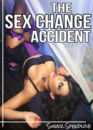 Cover of the book The Sex Change Accident by Michelle Celmer