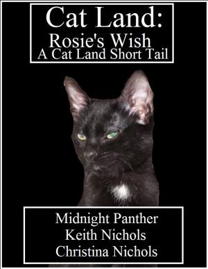 Cover of the book Cat Land: Rosie's Wish by Josephine Heltemes