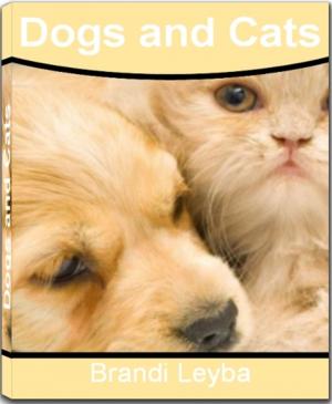 Book cover of Dogs and Cats