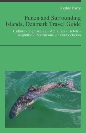 Book cover of Funen and Surrounding Islands, Denmark Travel Guide: Culture - Sightseeing - Activities - Hotels - Nightlife - Restaurants – Transportation