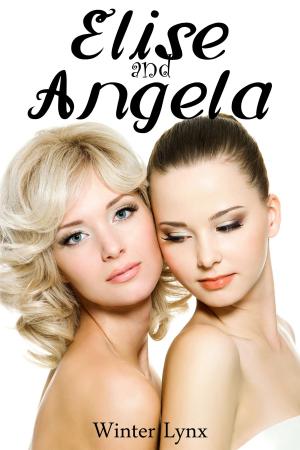Cover of the book Elise and Angela by Adrian Adams