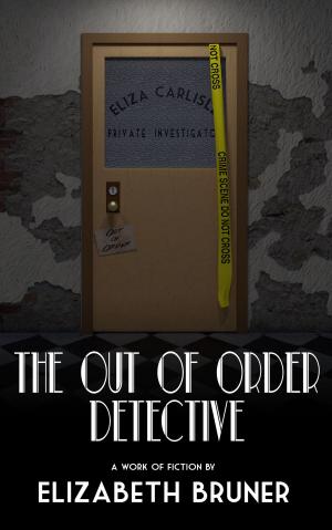 Book cover of The Out of Order Detective