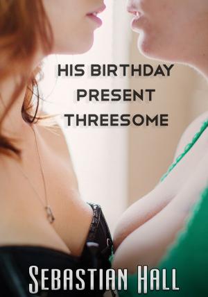 Cover of the book His Birthday Present Threesome by Sebastian Hall