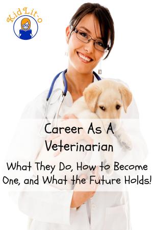 Cover of the book Career As A Veterinarian by Blake Bibbins
