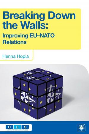 Cover of the book Breaking Down the Walls by Stefaan de Corte, Nico Groenendijk, Corina Suceveanu
