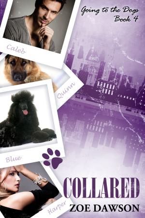 bigCover of the book Collared by 