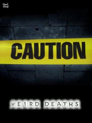Cover of the book Weird Deaths by Frank N Stein