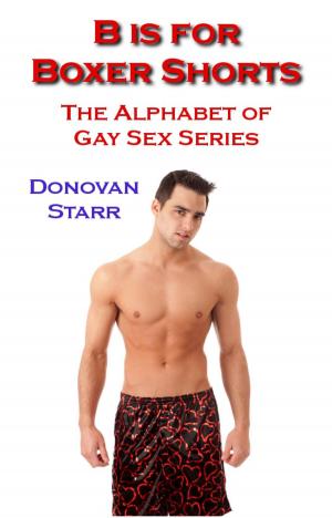 Cover of the book B is for Boxer Shorts by Alexandra Rowan