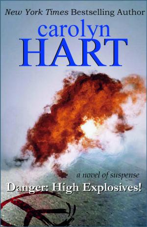 Cover of the book Danger: High Explosives! by Carolyn Hart