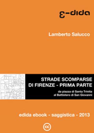 Cover of the book Strade scomparse di Firenze - Prima parte by stefano angelo