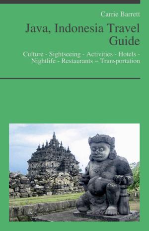 Cover of the book Java, Indonesia Travel Guide by Carrie Barrett