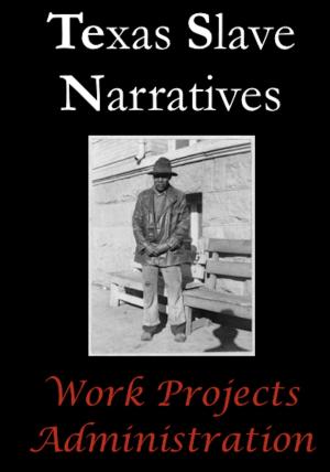 Book cover of Texas Slave Narratives