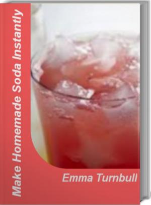 Cover of the book Make Homemade Soda Instantly by Lewis Anderson
